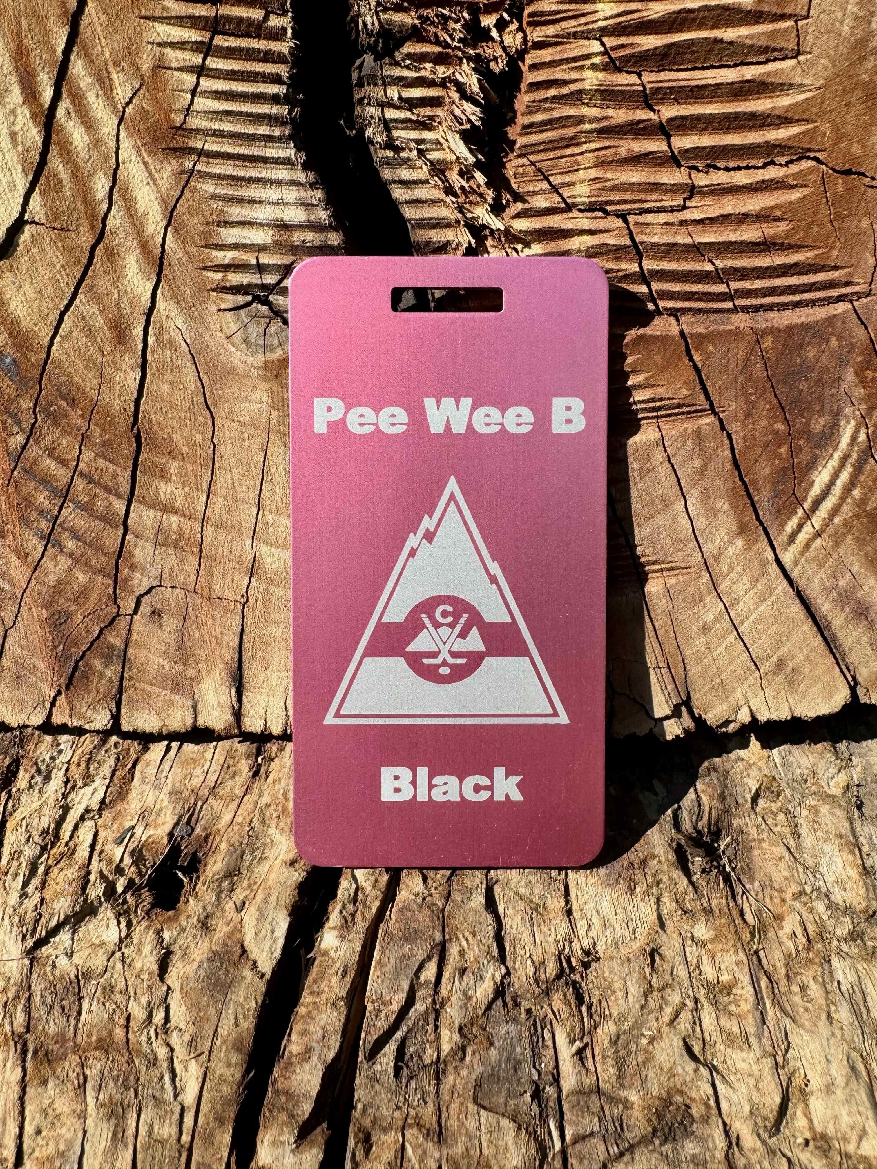 Pink sports bag tag with team name
